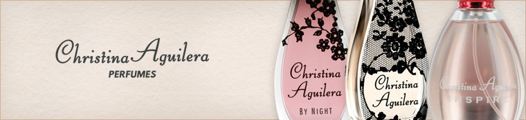 christina-aguilera-banner
